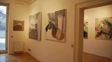 Lucie Skřivánková: Nepatrné výbuchy