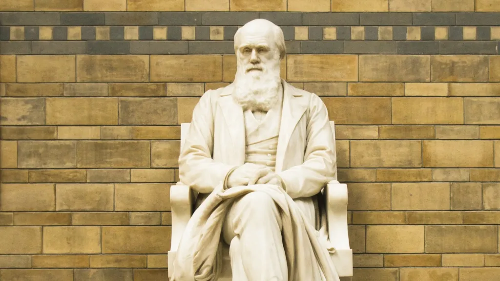 Socha Charlese Darwina