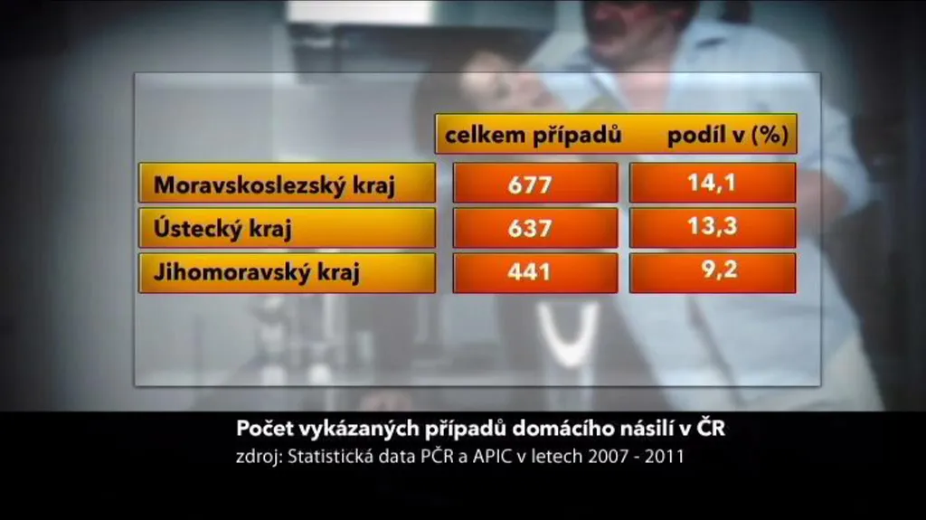 Domácí násilí