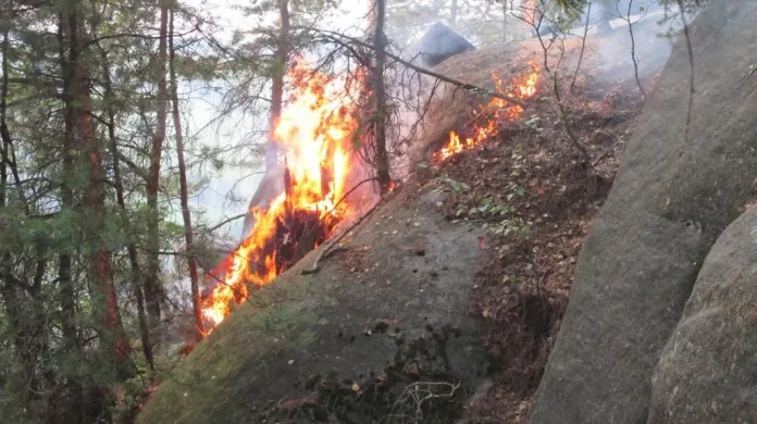 Požár lesní hrabanky v oblasti Křížového vrchu u Adršpachu na Náchodsku