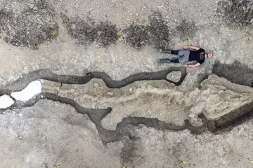 Vědci našli dokonale zachovalou fosilii desetimetrového ichtyosaura