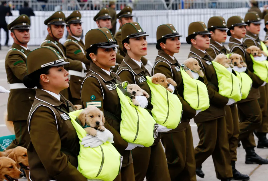 Chilské policistky pochodují se štěňaty, z nichž se stanou policejní psi, v průvodu během vojenské přehlídky v Santiagu de Chile.