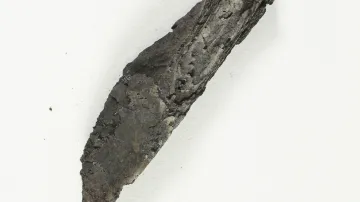 Ohořelý svitek dokázali vědci přečíst díky tomografii