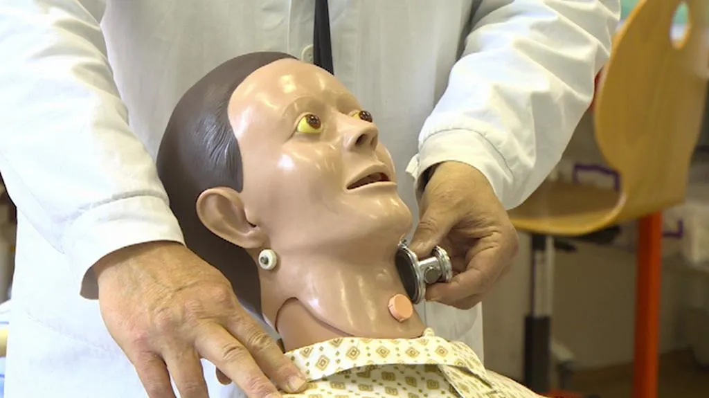 Projekt virtuální nemocnice