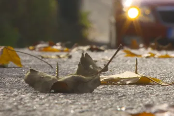 Někdo nastražil v Pelhřimově hřebíky do jablek či piškotů. Ohrožuje řidiče i psy
