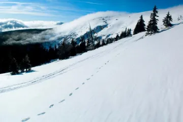 Záchranáři pořádali nebezpečnou výpravu. Muž zatím klidně spal na hřebenu v Jeseníkách