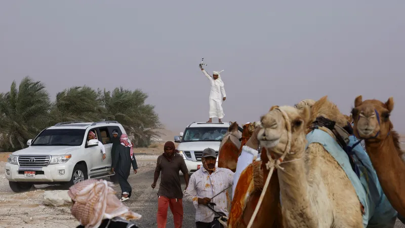 Chovatel velbloudů oslavuje své vítězství na festivalu al Dhafra, každoroční oslavě tradic a kultury beduínů ze Spojených arabských emirátů (2024)