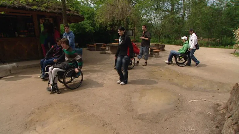 Kolečka na cestách