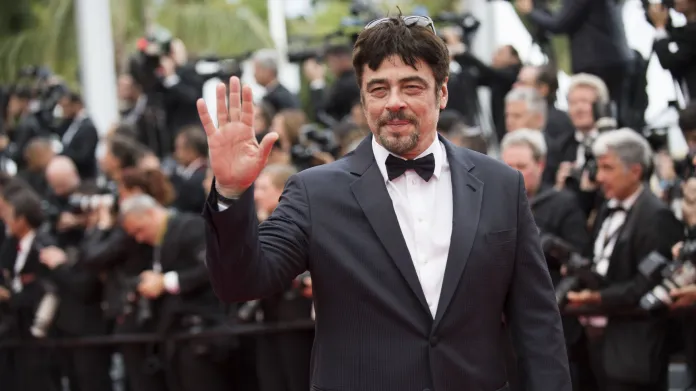 Herec Benicio del Toro