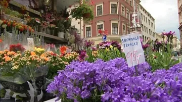 Zákaz se nevztahuje na prodejce květin mimo centrum