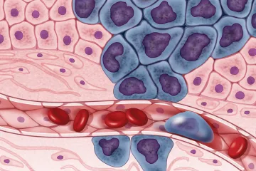 Vegetariáni méně trpí na časté rakoviny, prokázal rozsáhlý výzkum