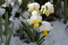 Proč je dubnové počasí aprílové? Nejen letos doprovází čtvrtý měsíc v roce rychlé zvraty teplot