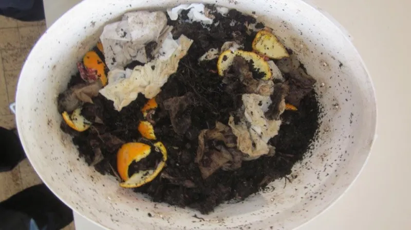 Žížaly si poradí s biologickým odpadem