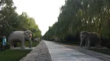 Slon je v Číně jedním ze symbolů štěstí