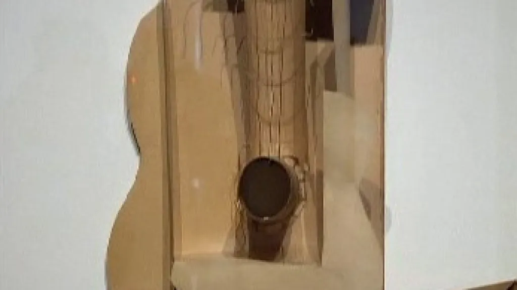 Pablo Picasso / kytara