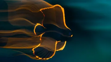 2. místo v kategorii Makro (Luis Arpa Toribio, Ve skluzu)