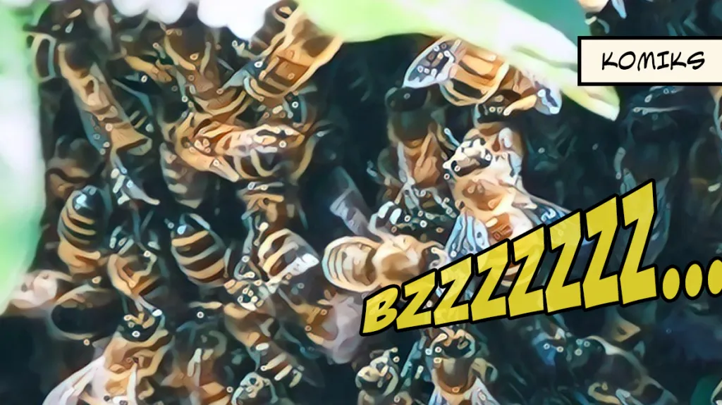 Včely se rojí, ne vždy musí vyjet hasiči