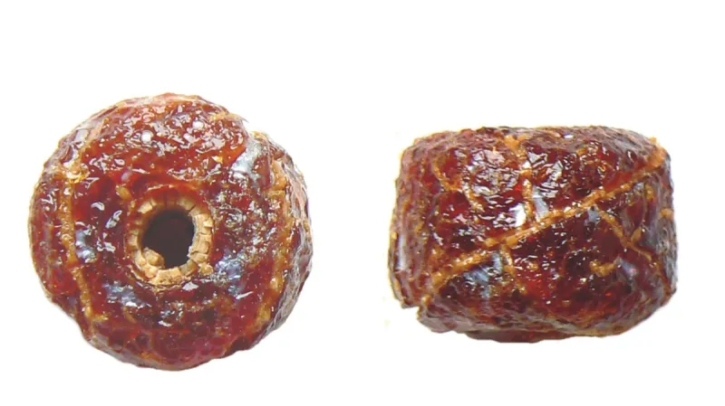 Jantarový korálek z hrobu v Brně-Tuřanech, únětická kultura