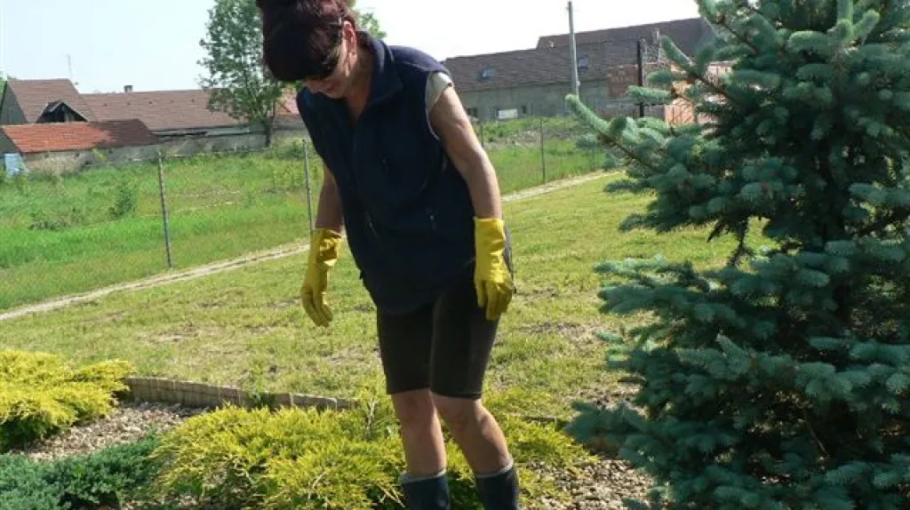 Z úklidu veřejných prostor ve Vojnicích