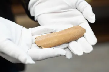 Nejstarším písmem Slovanů nebyla hlaholice. Objev kosti u Břeclavi ukázal na runy