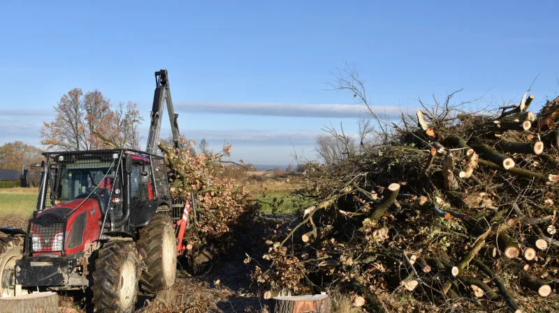 Na budoucím úseku dálnice D3 mezi obcemi Úsilné a Dobrá Voda u Českých Budějovic začala kácením stromů příprava staveniště