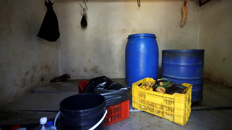 Zásoby pro zvířata