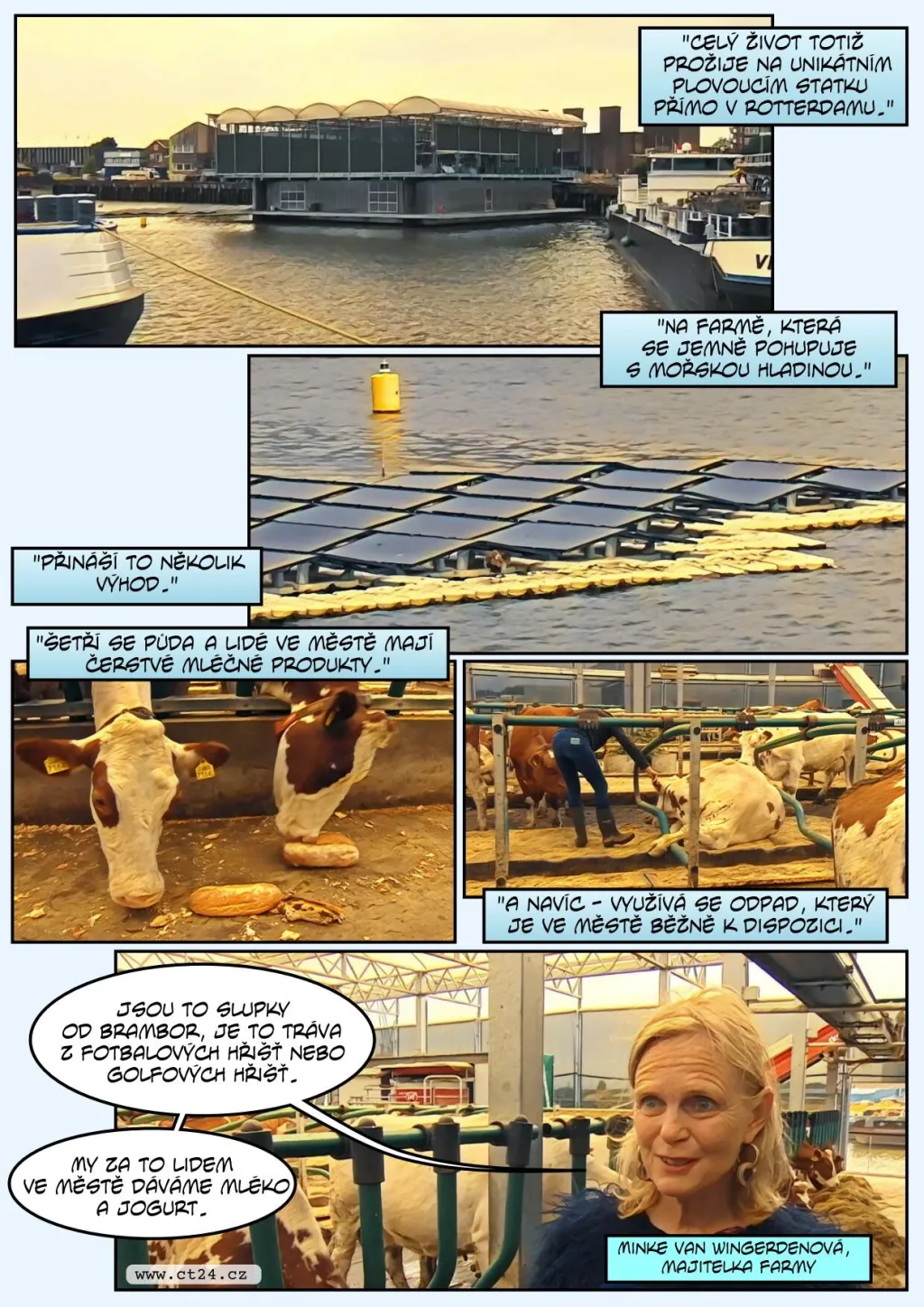 V rotterdamském přístavu pluje kravín