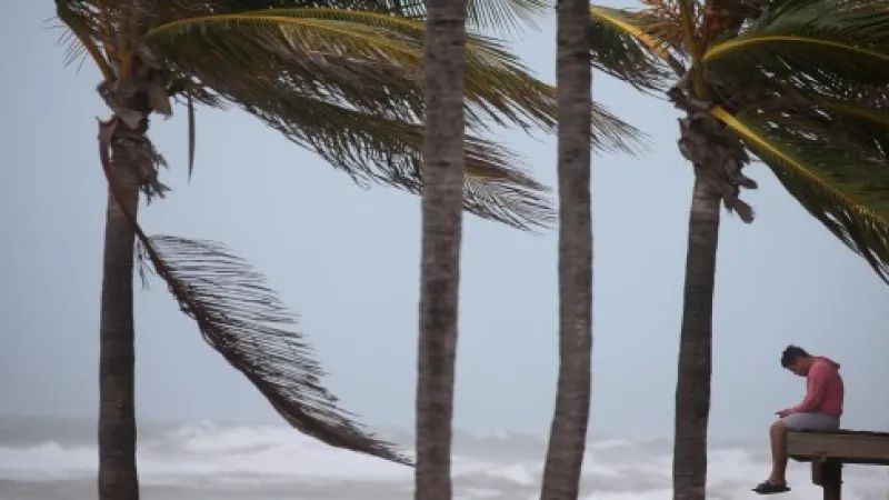 Vyčkávání na živel