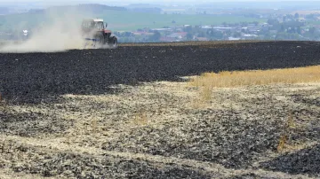 U obce Nová Hradečná shořelo přes pět hektarů pole pšenice