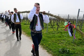 V Němčičkách se šlehalo s obřími žílami. Kroje nechyběly ani ve Vlčnově