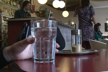 Za vodu z kaváren porostou stromy v Kamerunu