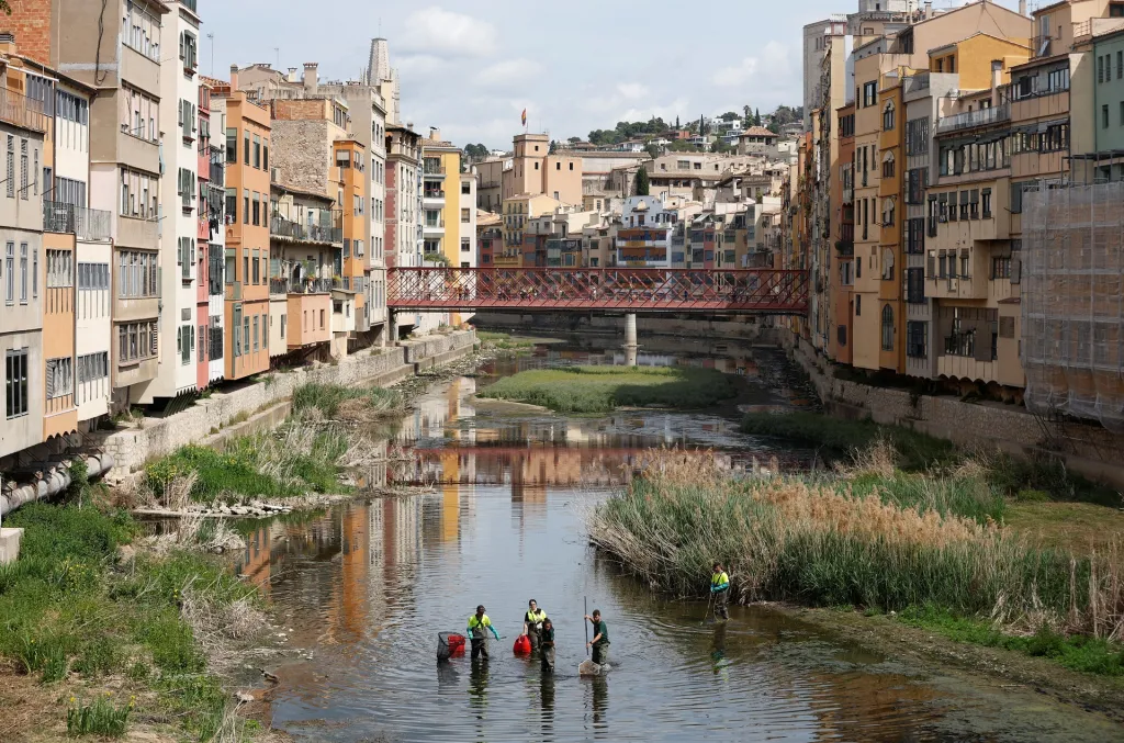 Hladina řeky Onyar ve Španělsku je tak nízko, že z ní musí vylovit ryby, 26. dubna