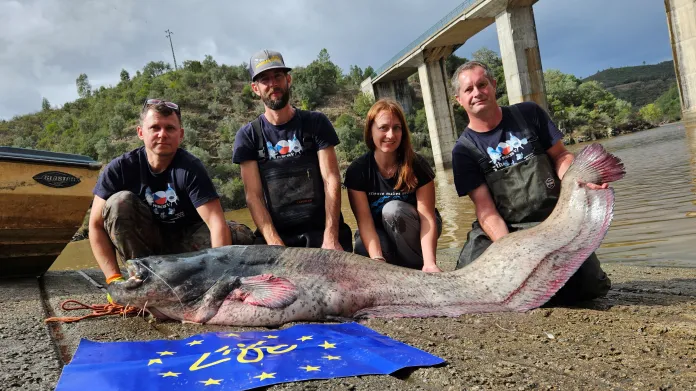 Tým LIFE Predator a sumec o rozměrech 228 cm a 91 kilogramů