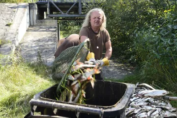 Resort zemědělství chce pomoci rybářům z okolí otrávené Bečvy. Viník tragédie se hledá