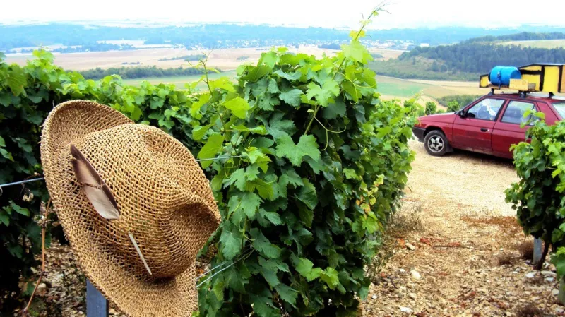 Evropská cesta klezmerové skupiny Der Šenster Gob (Orleáns, Francie, léto 2012)