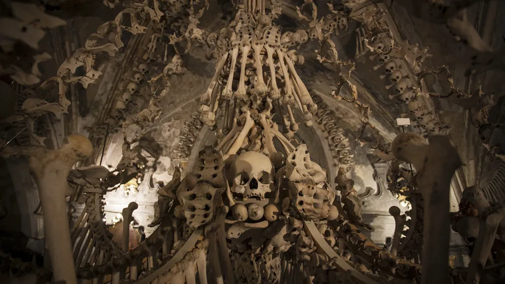 Lustr jako anatomická pomůcka: Je ze všech kostí lidského těla