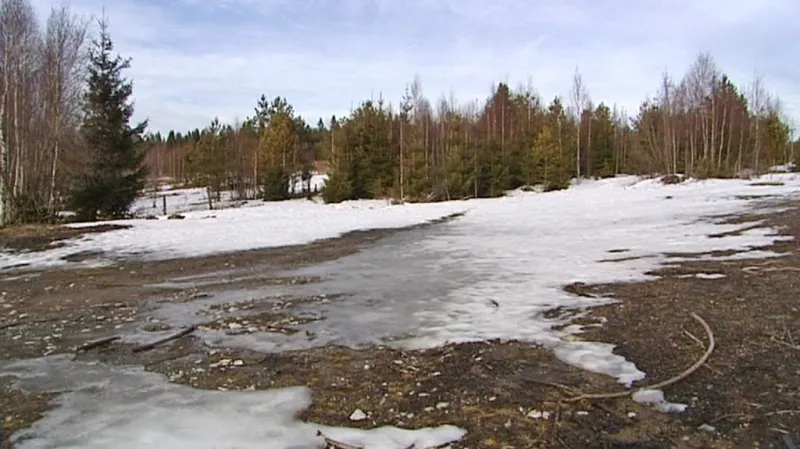 Vánoční obleva na Šumavě