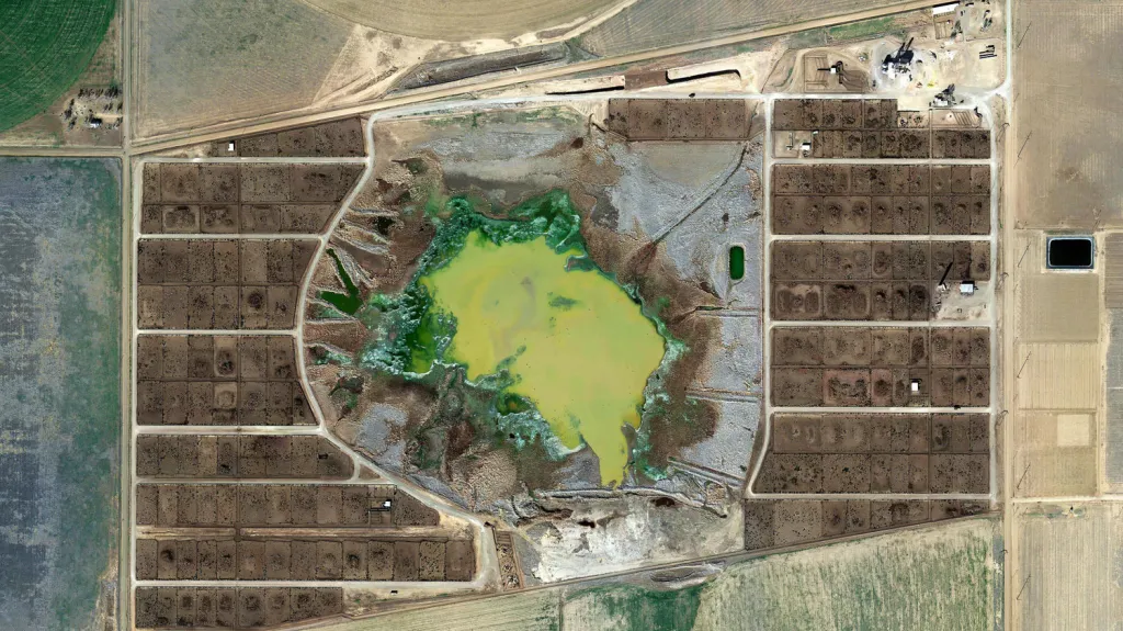 Z výstavy Mishky Hennera