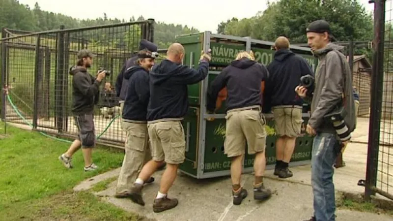 Reportáž Karla Rožánka