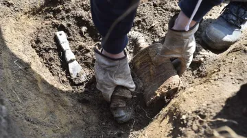 Nález ostatků ve vinohradu u Kostic