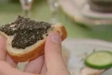 Kaviárový byznys ohrožen – jeseteři jsou na pokraji vyhubení