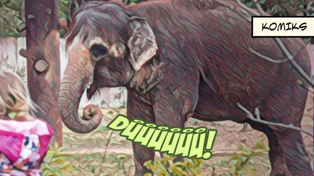 Slonice Dehli bude mít nový domov