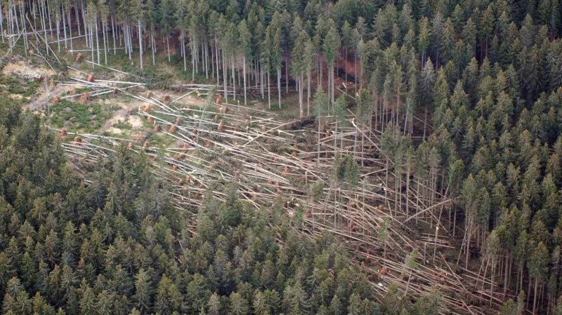 Následky orkánu Kyrill v Národním parku Šumava (leden 2007)