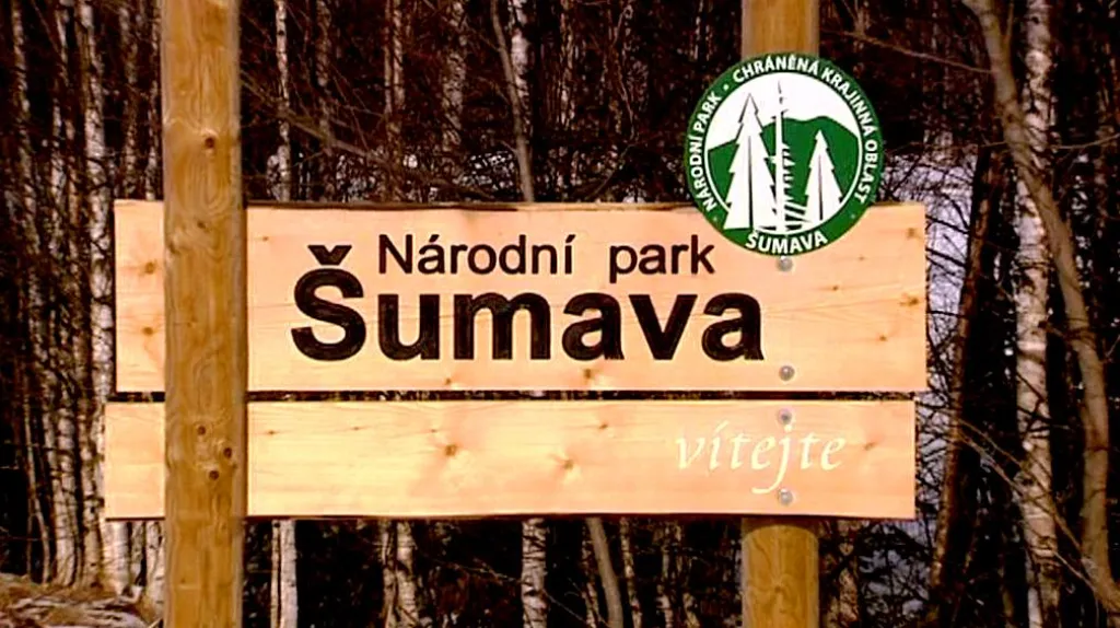 Šumava