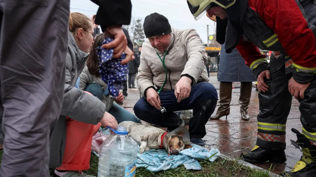 Lidé v Kyjevské oblasti se starají o zraněného psa z veterinární kliniky, kterou zasáhl ruský dron (3. dubna 2026)