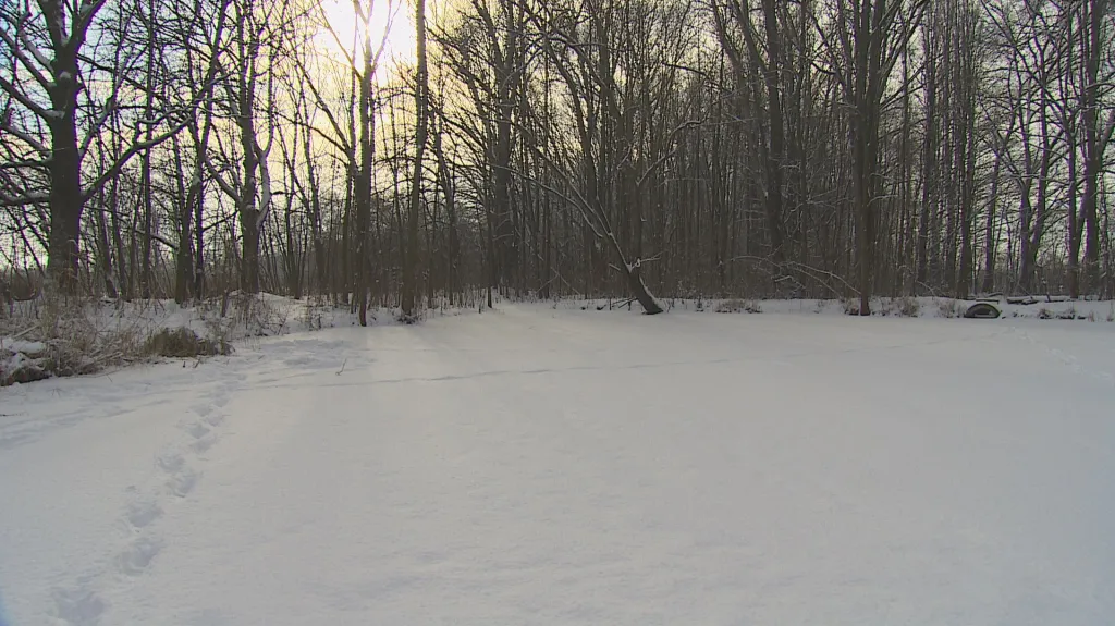 V jezerech je pod ledem skryto více bahna než vody