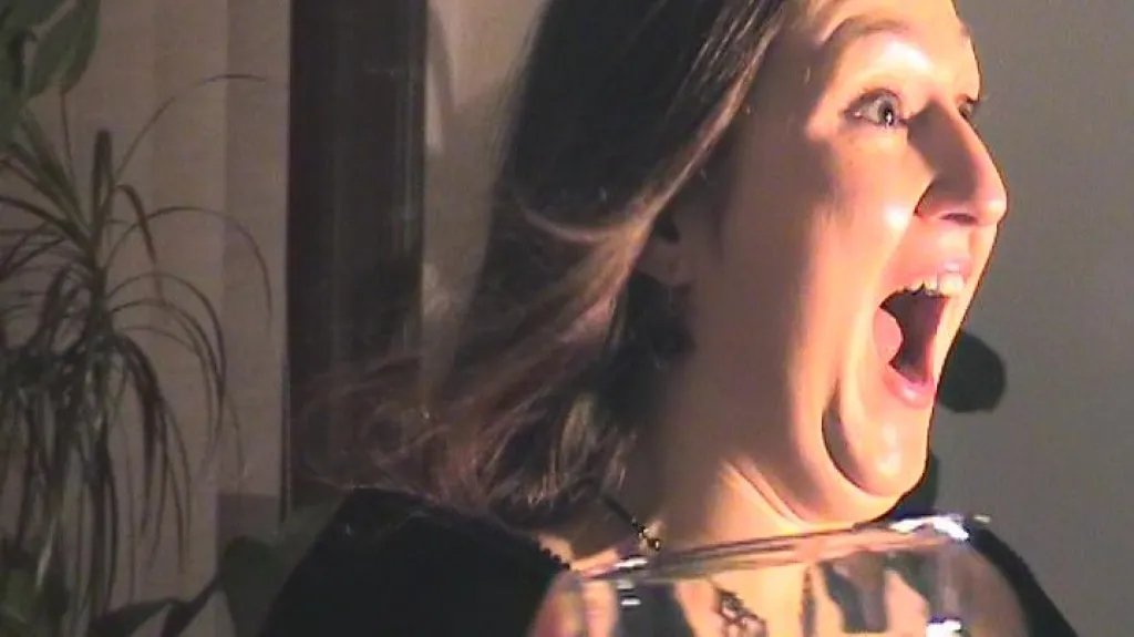 Dílo Kamily Ženaté