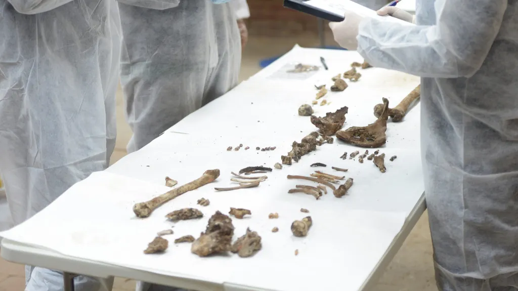 Pravděpodobné ostatky Miguela de Cervantese