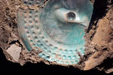 Archeologové našli na Přerovsku bronzový poklad. Ležel pár centimetrů pod zemí