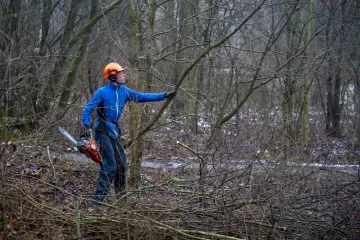 Třešňový sad Červěňák zarůstal nálety. Pardubičtí ho teď chtějí obnovit